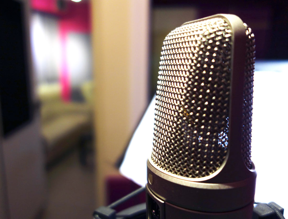 Piranha Studio Microphone